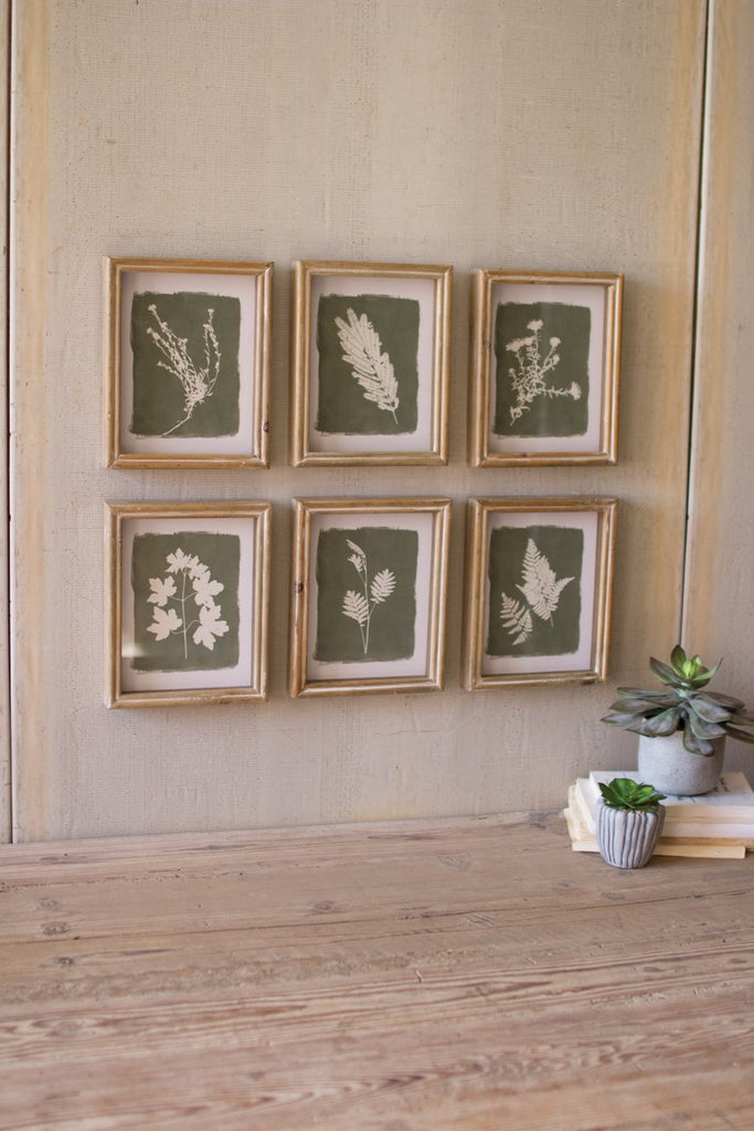 SET OF SIX FERN PRINTS UNDER GLASS