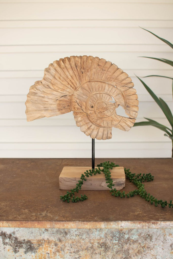 TEAK NAUTILUS SHELL ON A STAND