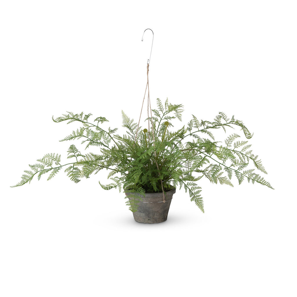 Potted Hanging Fern, Large