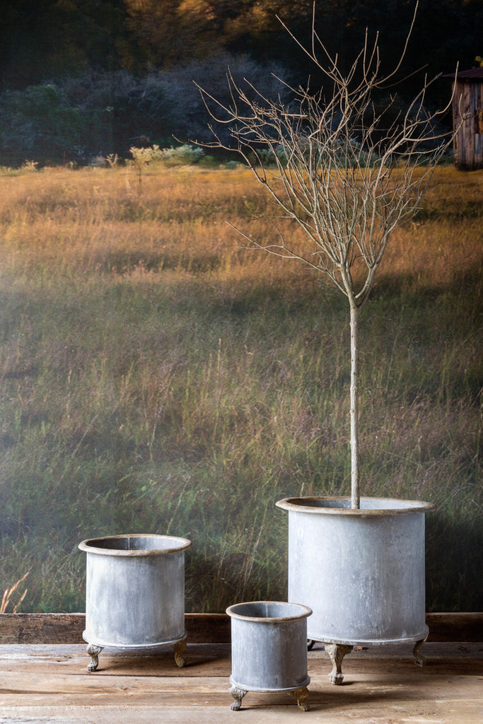 Footed Creamery Tank Planter, Medium