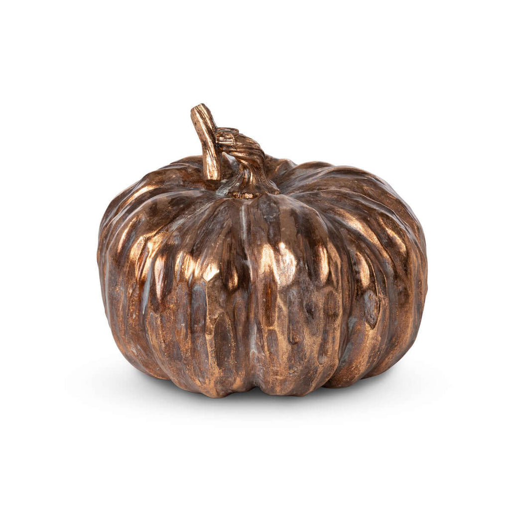 Bronze Heirloom Pumpkin Small