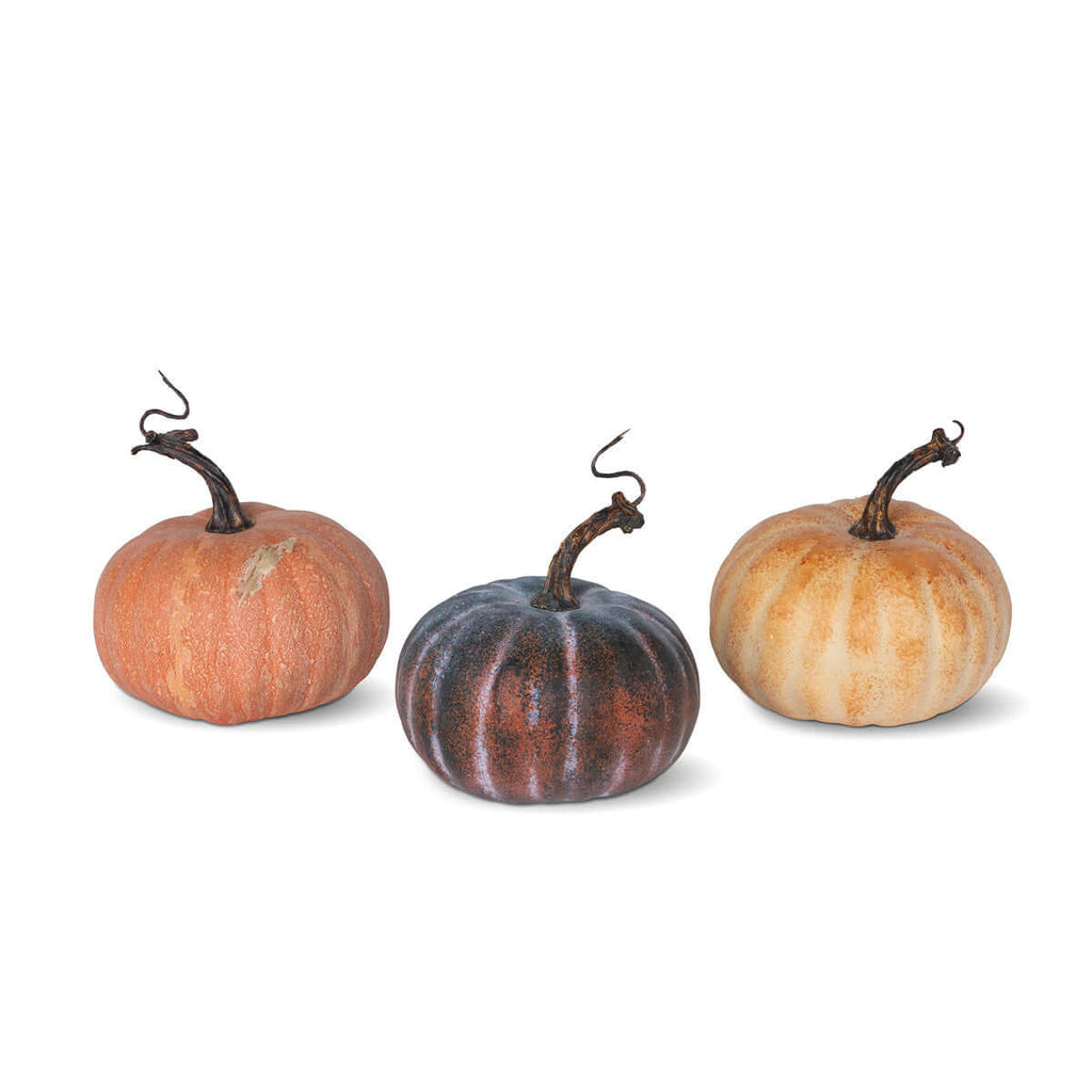 Autumn Garden Pumpkins, Set of 3