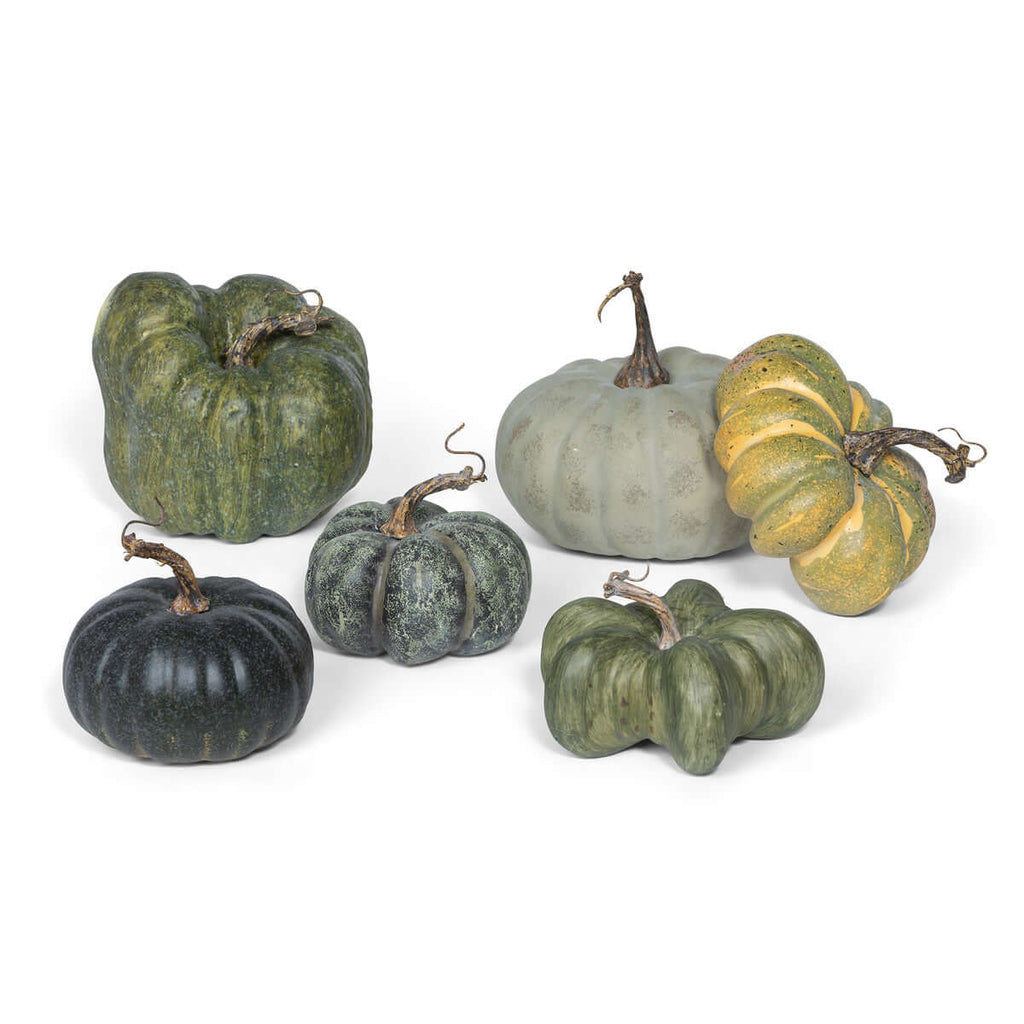 Green Heirloom Pumpkin Collection, Set of 6, Assorted Styles