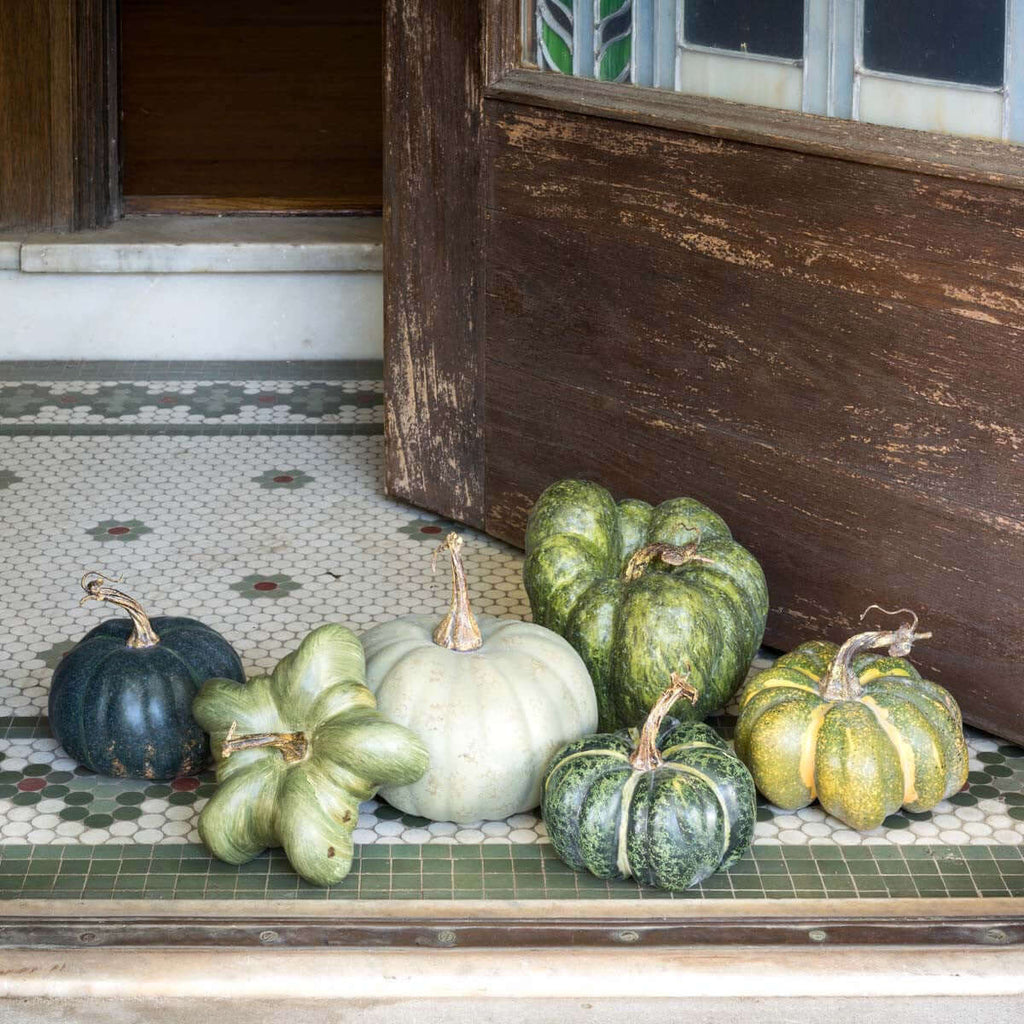 Green Heirloom Pumpkin Collection, Set of 6, Assorted Styles