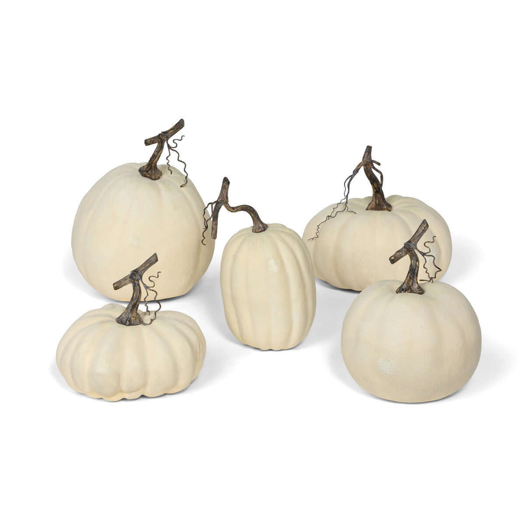 Full Moon Pumpkin Collection, Set of 5