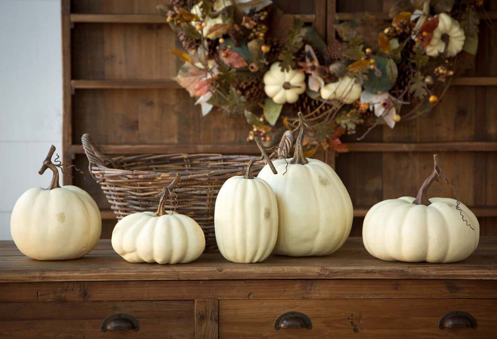 Full Moon Pumpkin Collection, Set of 5