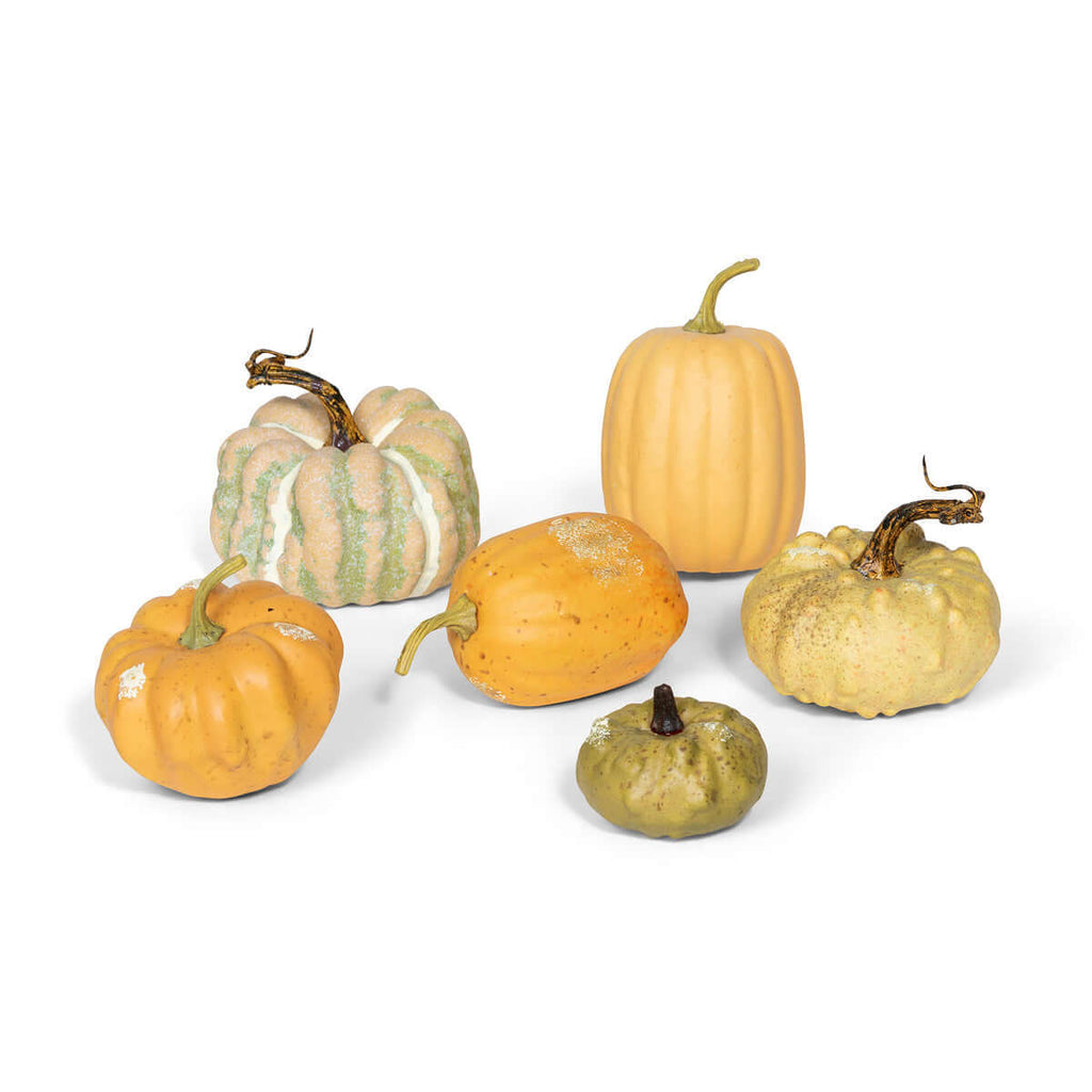 Miniature Pumpkins Collection, Set of 6, Assorted Styles