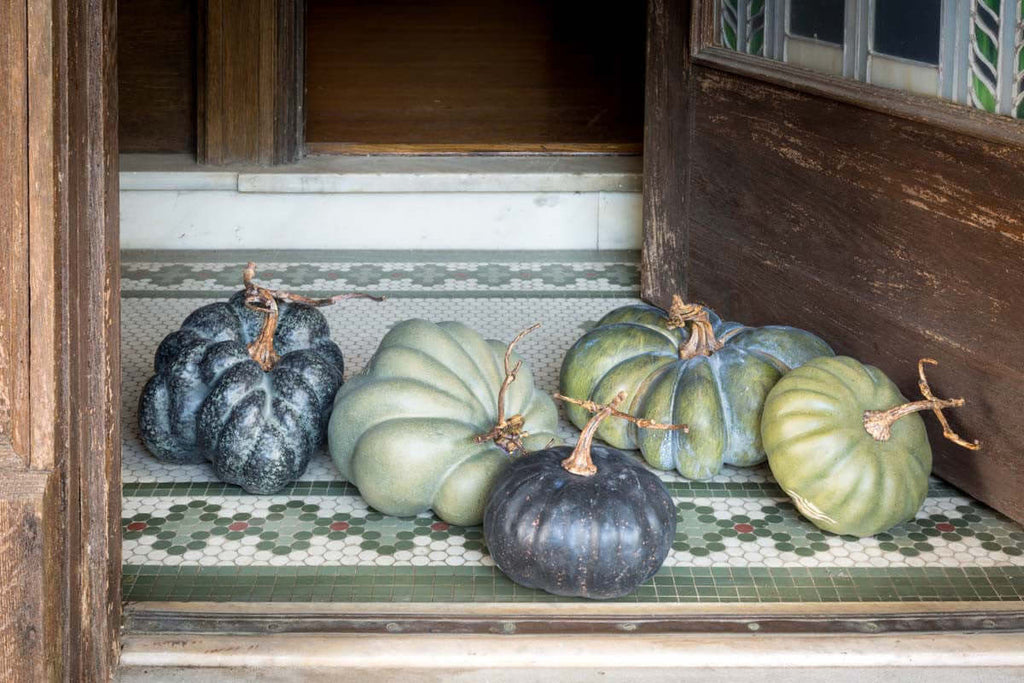 Green Heirloom Pumpkins, Set of 5, Assorted Styles