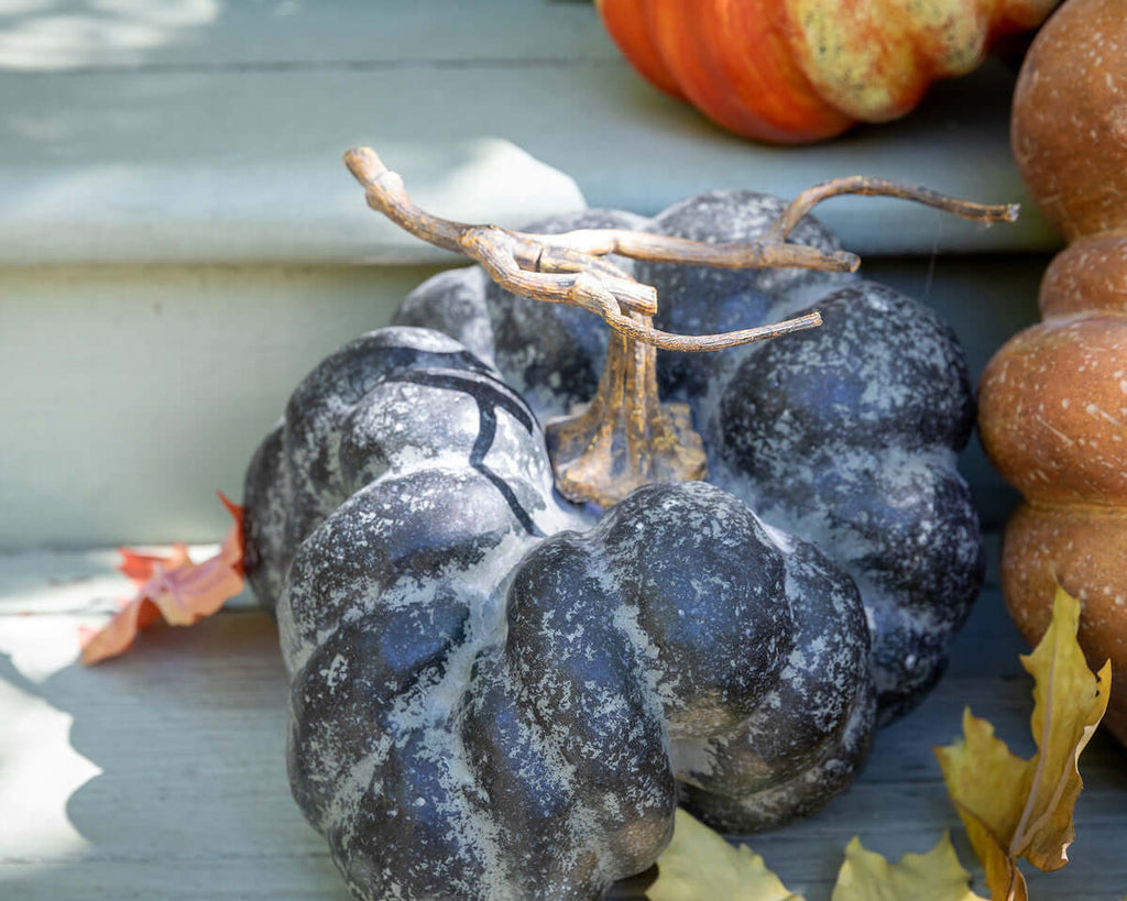 Green Heirloom Pumpkins, Set of 5, Assorted Styles