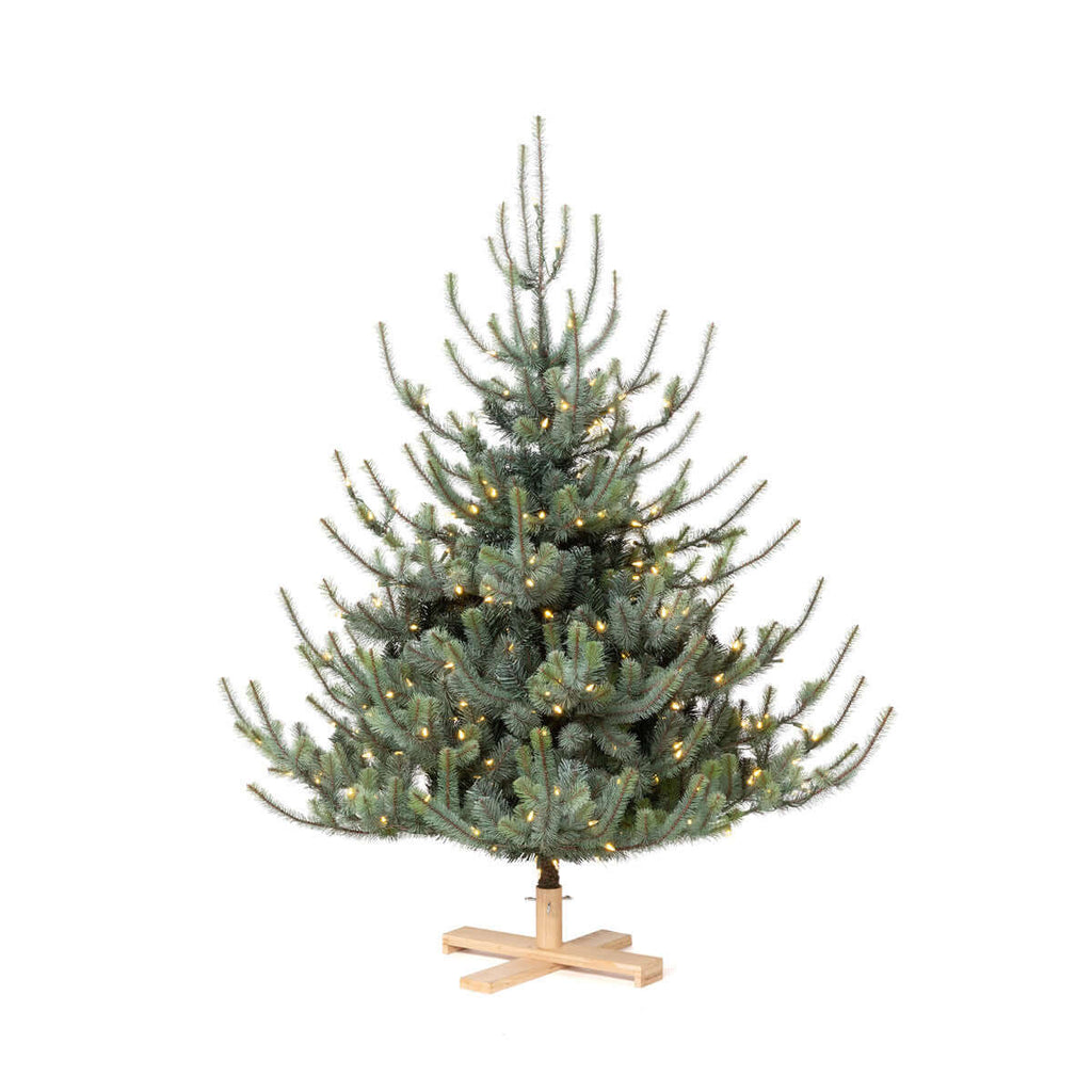 Park Hill Blue Spruce Christmas Tree, 5.5' Tree Lot