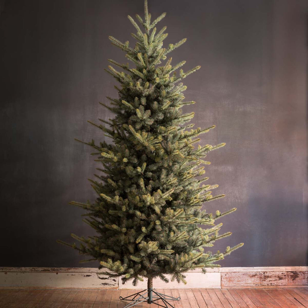 Park Hill Blue Spruce Christmas Tree, 10'