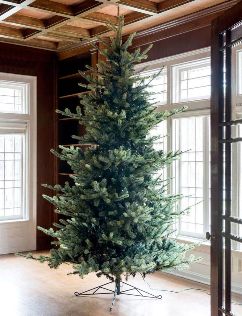 Park Hill Blue Spruce Christmas Tree, 10'