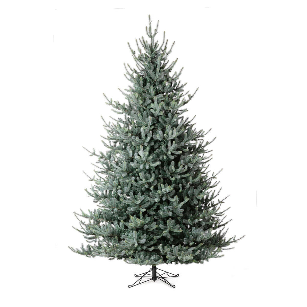 Park Hill Blue Spruce Christmas Tree, 12'