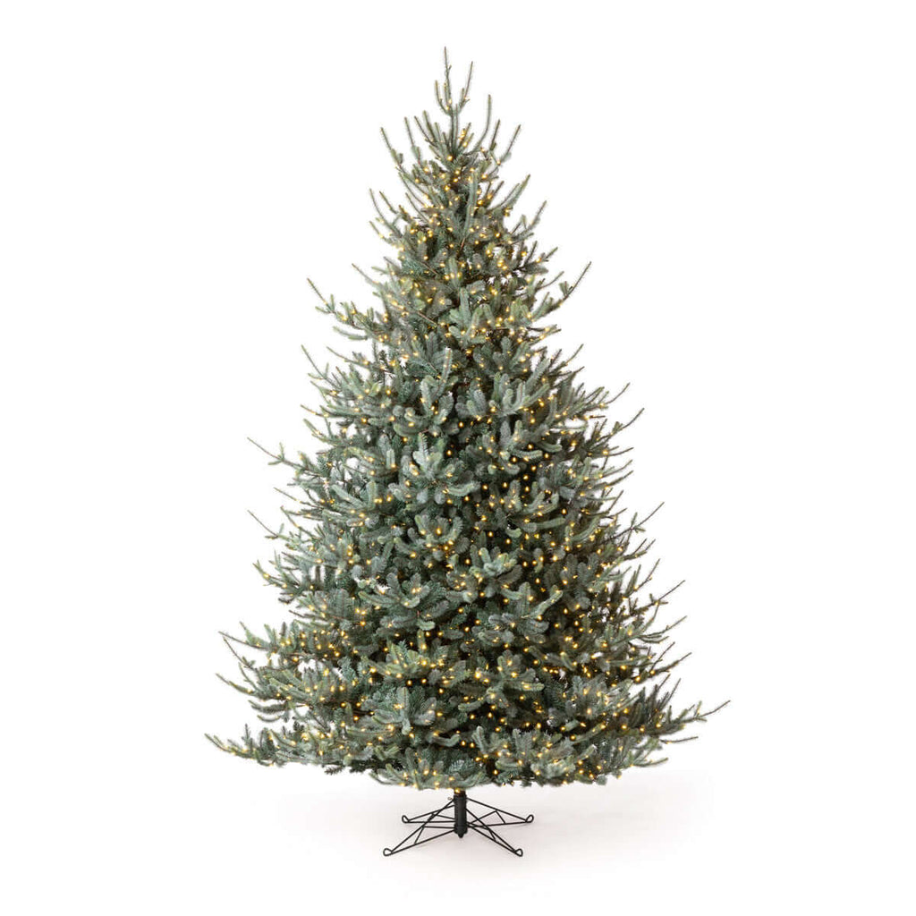 Park Hill Blue Spruce Christmas Tree, 12'