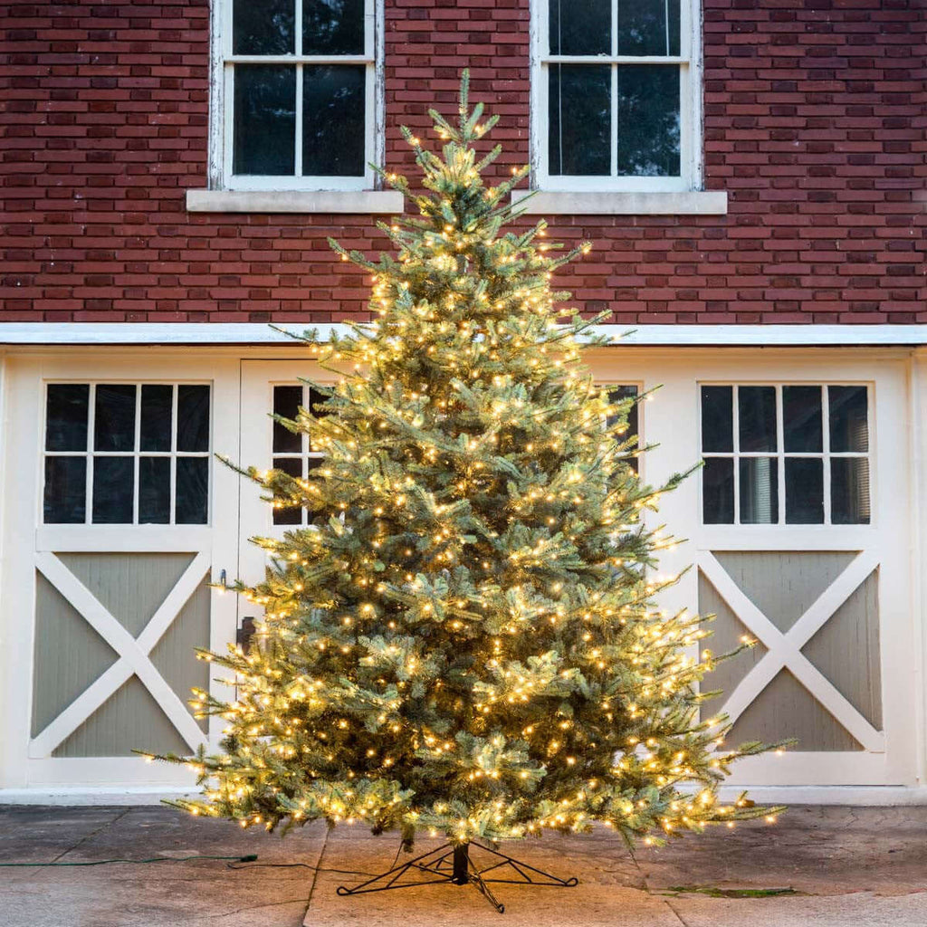 Park Hill Blue Spruce Christmas Tree, 12'