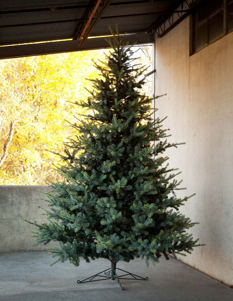 Park Hill Blue Spruce Christmas Tree, 12'