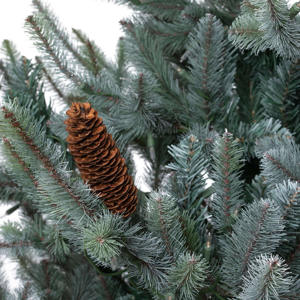 Park Hill Blue Spruce Christmas Tree, 7.5'