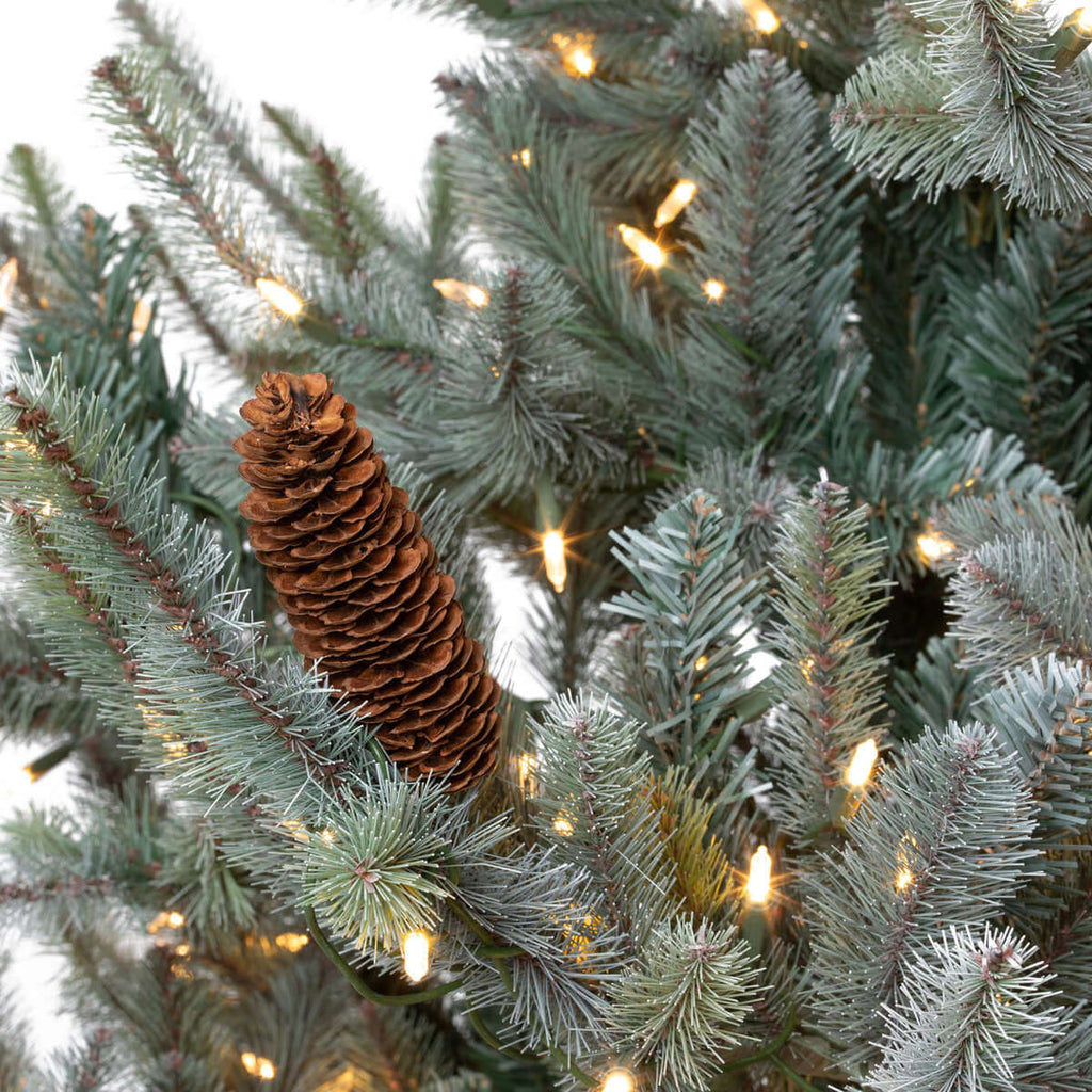 Park Hill Blue Spruce Christmas Tree, 7.5' Clear and Multi Lights