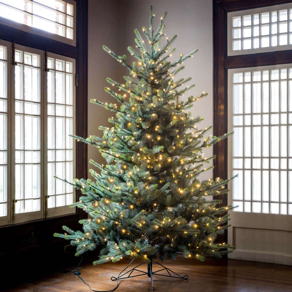 Park Hill Blue Spruce Christmas Tree, 7.5' Clear and Multi Lights