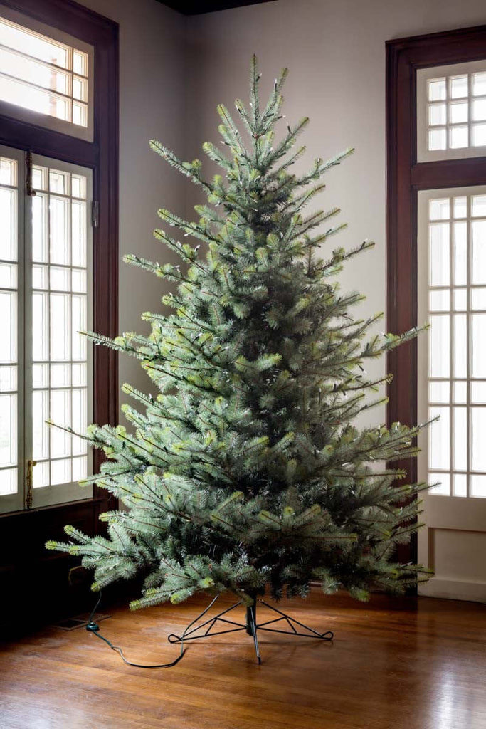 Park Hill Blue Spruce Christmas Tree, 7.5' Clear and Multi Lights